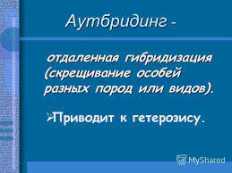 Презентация на тему: "Особенности селекции животных Особенности селекции  животных Селекция животных /". Скачать бесплатно и без регистрации.