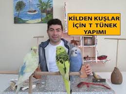 kilden kuslar icin t tunek yapimi kus ki li m