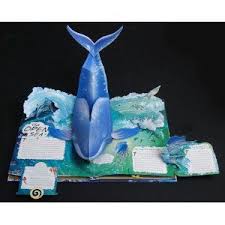 Wild Oceans A Pop Up Book Pop Up Book Pop Up Art Pop Up Cards