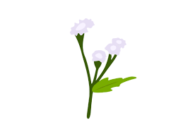 Ageratum Conyzoides Flower Graphic By Archshape Creative Fabrica In 2020 Flower Graphic Diy Prints Flowers