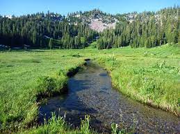 Paradise Meadows Trail Lassen Volcanic National Park California Lassen Volcanic National Park Lassen Volcanic Hiking Photography