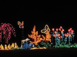 Bellevue Botanical Garden Garden D Lights Winter Light Display Christmas Display Holiday Lights Christmas Light Displays