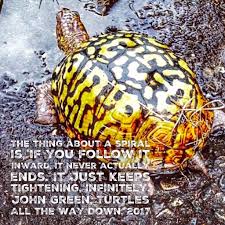 Pin By Christine Patrick On Words Green Turtle All The Way Down John Green