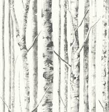 Black And White Birch Tree Wallpaper Pin On Birch Trees