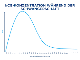 Denn die eigentliche schwangerschaft einer frau beginnt nicht mit dem zeitpunkt des beischlafes, sondern startet mit der befruchtung der eizelle. Hcg Konzentrationen Alles Was Sie Wissen Mussen Clearblue