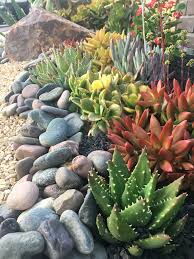 There are many ways to go about doing that. 7 Best Rocks For Your Succulent Garden Southwest Boulder Stone Succulent Garden Landscape Succulent Rock Garden Succulent Landscape Design