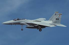 Image result for F15 plane crash military