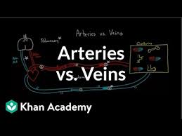 This is a free printable worksheet in pdf format and holds a printable version of the quiz arteries diagram. Arteries Vs Veins What S The Difference Video Khan Academy