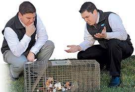 Should you go 'wild' for pest control add-on services?