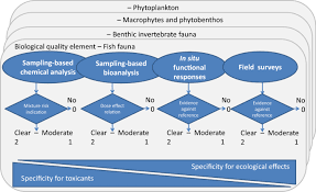 This guidebook is aimed at engineers, technicians and quality control personnel involved in contamination control. Future Water Quality Monitoring Improving The Balance Between Exposure And Toxicity Assessments Of Real World Pollutant Mixtures Environmental Sciences Europe Full Text