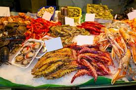 Image result for Amnesic Shellfish Poisoning