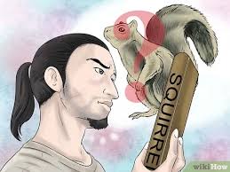 How to Hunt Squirrels (with Pictures)