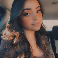 How to register Ragdoll kittens as emotional support animals?