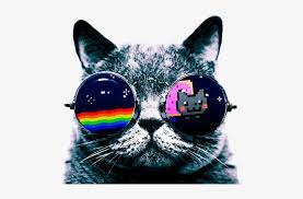 Browse twitch chat copypastas with the emote coolcat. Cool Cat Hd Png Free Cool Cat Hd Png Transparent Images 54269 Pngio