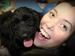 Fundraiser by Juliana Thillen : Julie Thillen's Service Dog Willy