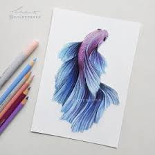 Realistic Wind Animal Drawings Fish Drawings Art Inspiration Drawing Colorful Drawings
