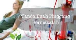 Rasa sakit pada pinggang kaki dan bahagian tip merawat sakit buah pinggang blog jun bagi sesetengah. Tanda Tanda Penyakit Buah Pinggang