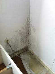 Schimmel hinterm schrank woran kann das liegen. Schimmel Hinter Dem Bett Was Tun Haushalt