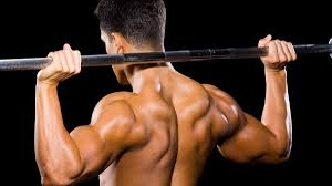 Les exercices à privilégier pour muscler le dos. Meilleurs Exercices Pour Se Muscler Le Dos