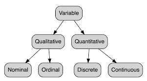 It is impossible not to have at least a feeling/hunch/vague idea about some aspect of the. Variable Types And Examples Stats And R