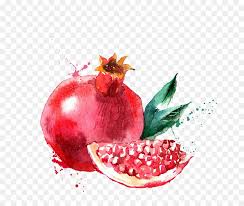 Watercolor Painting Fruit Drawing Illustration Hand Painted Pomegranate Png Is About Is About Superfood Apple Fruits Drawing Watercolor Fruit Fruit Painting