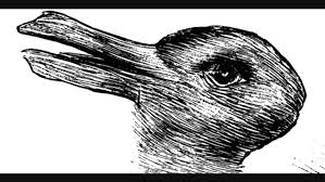 The Picture Can Be Seen In Two Different Ways A Bird Or A Rabbit Ambiguous Illusions Optical Illusions Visual Illusion