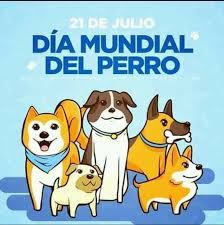 Search the world's information, including webpages, images, videos and more. Dia Nacional Del Perro 21 Chihuahua De Mi Puerto Rico Facebook