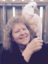 Sandra G. Beers Obituary (2024)