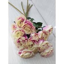 We did not find results for: Jual Do018 Bunga Mawar Putih Gradasi Ungu Per Tangkai Rose Artificial Mawar Jakarta Pusat Duthi Tokopedia