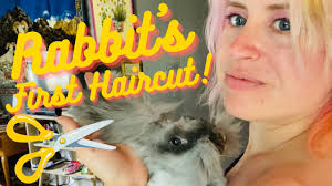 Begonia’s First Haircut