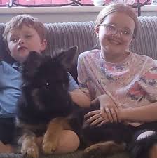 Profile for Alan Huddy Hudson