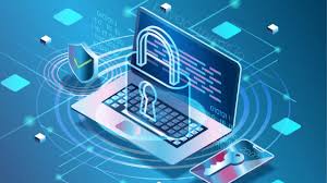 We collect information about the apps, browsers, and devices you use to access google services, which helps us provide features like automatic product updates and dimming your screen if your battery runs low. Do I Need A Privacy Policy If I Don T Collect Personal Information Privacyterms Io