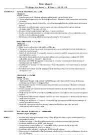 proposal manager resume samples