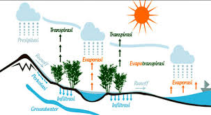 Evaporasi merupakan proses perubahan molekul cair menjadi molekul gas, maka air berubah menjadi uap. Apa Itu Siklus Hidrologi Pengertian Karakteristik Proses