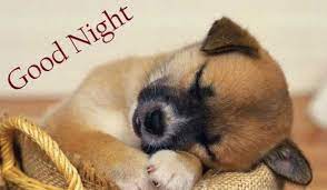 50 Good Night Images Free Download With Gud Goodnight Wallpaper Hd Tech Unblocked Puppy Dog Pictures Sleeping Puppies Baby Animals Pictures