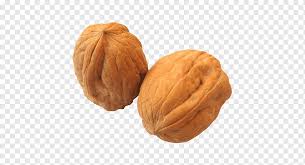 Walnut trees can be impressive shade trees, though many find them messy, dropping catkins in the spring and fruit in autumn. Walnut Tree English Walnut Vegetarian Cuisine Fruit Drupe Food Tree Nut Allergy Dried Fruit Walnut English Walnut Nut Png Pngwing