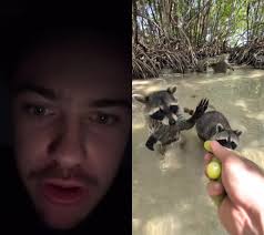 Jandel Its The Racoon from Grow A Garden