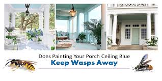 Carpenter bees can be a nuisance and can ruin the wood on your home. Does Painting Your Porch Ceiling Blue Keep Wasps Away