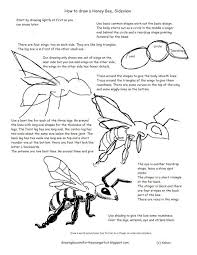 Black And White Insect With Stinger How To Draw A Honey Bee Side View Worksheet How To Draw Worksheets For Young Artist Drawing Lessons Sketch Book Flower Drawing