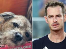 VERY SAD NEWS: 35 minutes ago in Kansas — At age 67, Andy Reid made an  urgent announcement to his followers, announcing that his fiancée, Tammy  Reid, is now.......full story below👇