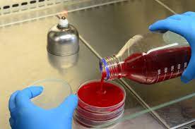 Check spelling or type a new query. How To Make Tissue Culture Agar Plant Cell Technology Your Partner In Plant Tissue Culture