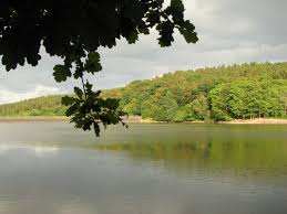 Jul 15, 2021 · die steinbachtalsperre in euskirchen wird aktuell vom technischen hilfswerk beobachtet. Fischereiverein Euskirchen E V Vereinsgewasser Steinbachtalsperre Hauptsee Fischereiverein Euskirchen E V