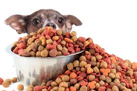 Diamond naturals dry puppy food review. Authority Dog Food Reviews Puppy Food Recalls 2021 Goodpuppyfood