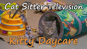 We did not find results for: Kitty Daycare Cat Sitter Television Youtube