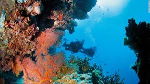 Image result for pictures gallery for unesco heritage sites of the world
