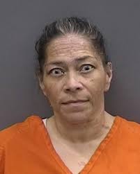 Tampa Bay Mugshots -...