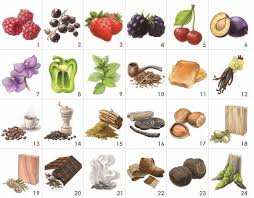 Coffret Des Aromes Du Vin Rouge 12 Aromes Vin Rouge Vin Truffe
