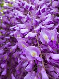 Pin On Travel Nature