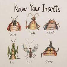 These tiny creatures get into our nerves in no time. Tropical Pest Management West Palm Beach Service Pest Control