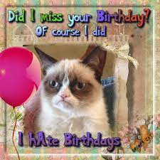 Grumpy Cat S Birthday Greeting Grumpy Cat Birthday Grumpy Cat Happy Birthday Cat